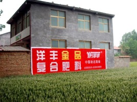  九寨沟如何让墙体广告展现最大化效果
