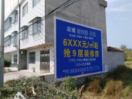  九寨沟墙体广告质量分析